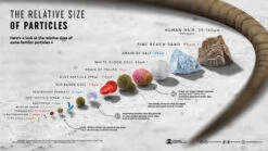 Allergy Filter Screens -Home Screen Window Discount Store AllergyGuard Comparison Graphic 1 13268.1672778911