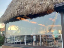 Genius Motorized Vinyl Screens -Home Screen Window Discount Store Vinyl Unit Image 225 42141.1693248030